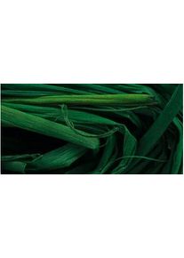 Naturbast Raffia tannengr&uuml;n 50g