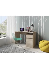 Schreibtisch »Tinsley«, mit Schublade, und Tür, Breite 120 x53 cm , braun , Home Affaire