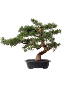 Kunstbonsai »Bonsai Zeder« , grün , Creativ green , Obermaterial: 100% Kunststoff
