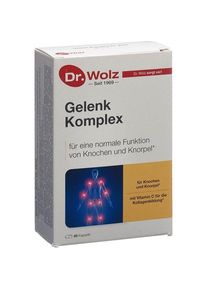Dr. Wolz Gelenk Komplex Kapseln, 80 St&uuml;ck