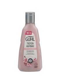 Guhl Tiefen Aufbau Shampoo 250 ml