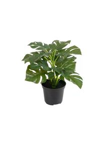 Kunstblume »Dekomat AG Philodendron im Topf 28 cm« , grün , Botanic-Haus