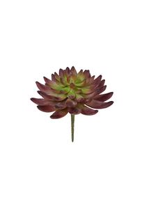 Kunstblume »Echeveria Kaktus 14 cm« , grün , Botanic-Haus