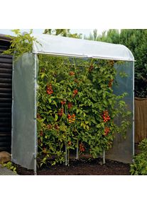 Br&uuml;hwiler Maschinen Tomatenhaus Stahlrahmen