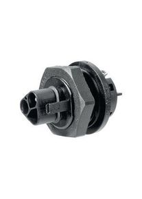 WIELAND Eclairage Fiche mâle, 3 Pôles, 20A, 250V - 96.032.5053.1