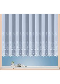 Weckbrodt-Gardinen Weckbrodt, Gardine &raquo;Br&uuml;ssel&laquo; Kr&auml;uselband 1 Stk. tlg. echte Stickerei, Voile, halbtransparent, Bord&uuml;re, Kante, gebogt, Store, wei&szlig;, Voile, Polyester
