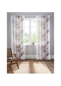 Home Affaire, Home Affaire Gardine &raquo;Ina&laquo; Kr&auml;uselband 2 Stk. tlg. transparent, 2-er Set, einseitig bedruckt, Voile, braun, Voile, Polyester