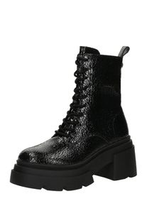 Steve Madden Stiefelette 'Tossup' Damen, schwarz, Größe 39