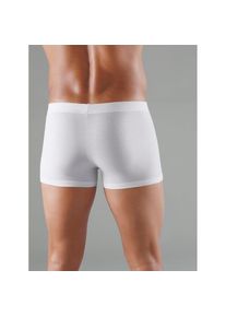 Kings Club , Panty 5 Stk. tlg. , blau , Baumwoll-Stretch