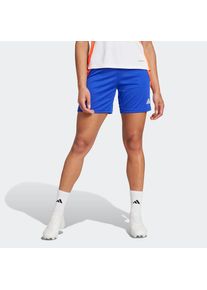 adidas Performance, Unisex, adidas Performance Trainingsshorts &raquo;TIRO24 TRSHOW&laquo;, lucid blau, wei&szlig;, app solar rot, M, N-Gr, Feuchtigkeitsabsorbierende 