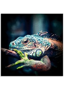 Glasbild »Leguan« Reptilien 1 Stk. tlg. in verschiedenen Grössen , blau , Artland