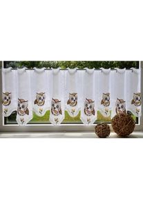 Stickereien Plauen, Scheibengardine &raquo;Eulen&laquo; Stangendurchzug 1 Stk. tlg., beige, braun, Voile, Polyester