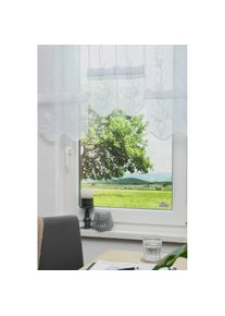 Stickereien Plauen, Scheibengardine &raquo;Kiara&laquo; Stangendurchzug 1 Stk. tlg., terrakotta, Voile, Polyester