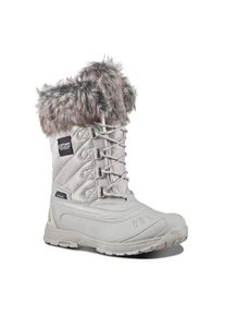 Icepeak , Damen , Snowboots »ANSINA MS« Winterschuhe, Winterboots, Winterstiefel, wasserdicht, gefüttert , grau , Snowboots von Icepeak