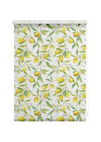 Seitenzugrollo »Rollo Klemmfix, ohne Bohren, blickdicht, Limone - Gelb Grün« blickdicht Blendschutz Sichtschutz freihängend , gelb , LICHTBLICK...