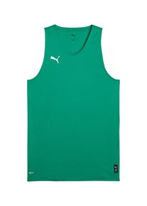 Puma, Hommes T-Shirt fonctionnel 'Teamjaws Starter', vert / blanc