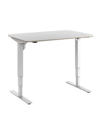 H&ouml;henverstellbarer Schreibtisch | Elektrisch | Stehpult | Abgerundete Ecken | BxT 120 x 80 mm | wei&szlig;/wei&szlig; | Atlanta Trend
