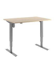 Höhenverstellbarer Schreibtisch | Elektrisch | Stehpult | BxT 120 x 80 mm | Birke/silber | Atlanta