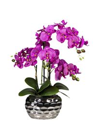 Phalaenopsis in Ovalvase, H&ouml;he 550 mm, Bl&uuml;ten violett
