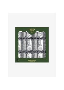 Holly IVY Crackers Textures Snowflakes argentee