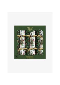 Holly IVY Crackers JOY AND Springs tanne
