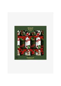 Holly IVY Crackers Berry Spring sapin