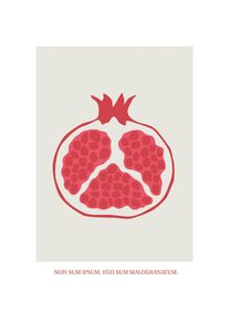 Bild »Cultivated Pomegranate« Natur 1 Stk. tlg. Wandbild zur Dekoration - ohne Rahmen , rot , Komar
