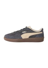 Puma, Hommes Baskets basses 'Palermo Pop', beige clair / anthracite