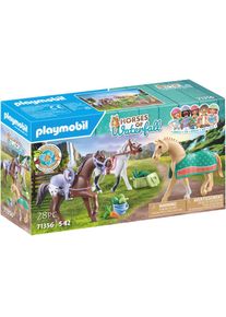 Playmobil, Konstruktions-Spielset &raquo;Morgan, Quarter Horse & Shagya Araber (71356), Horses of Waterfall&laquo; 3 Pferde, bunt, Einheitsgr&ouml;&szlig;e, Konstruktions-
