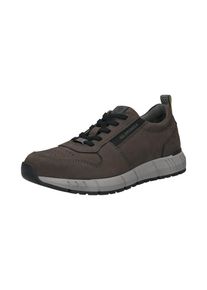 Salamander, Hommes Baskets basses, taupe