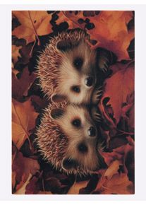 WITT Fussmatte, Igel, Größe 40x60 cm, 100% Polyamid