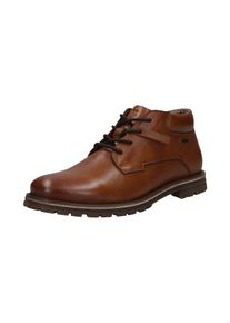 Salamander, Hommes Chaussure à lacets, cognac