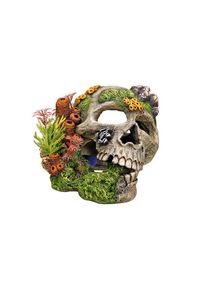 Aquariendeko »Totenkopf mit Pflanzen, 45431 x 16 x 14 cm« , bunt , Nobby