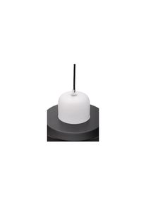 LED Pendelleuchte »Pendelleuchte Pretty Treasu« , Pauleen