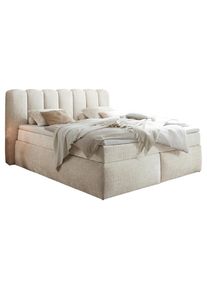 Boxxx Boxspringbett , Creme , Textil , H2 + H4 , 7-Zonen , 200x220 cm , Matratze, gepolstertes Kopfteil, Topper durchgehend, Wendematratze mit