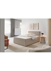 P & B Boxbett , Sandfarben , Holz , H2 , 120x200 cm , Schlafzimmer, Betten, Boxspringbetten