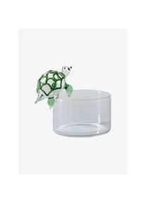 Massimo Lunardon Bol Brio Tortuga