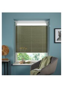 Plissee »DAHRA - in Crush-Optik« Lichtschutz ohne Bohren verspannt Fixmass, Bestseller mit über 5500 4,5-Sterne-Bewertungen, Klemmträger , grün ,...