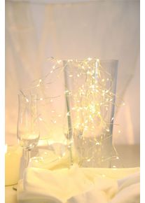 Globo VENUTO Lichterkette LED Silber, 20-flammig