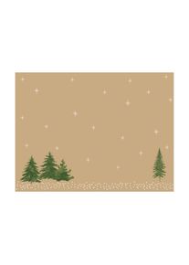 Platzset»DuniBioDunicel30x40cm100Stück«