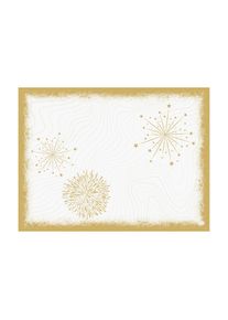 Platzset»DuniBioDunicel30x40cm100Stück«