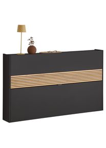 Voleo Schuhkipper , Graphitfarben, Eichefarben , Metall , 140x83x18 cm , Made in Germany , Beimöbel erhältlich, hängend , Kleinmöbel