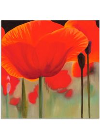 Alu-Dibond-Druck »Leben« Blumen 1 Stk. tlg. als Alubild, Outdoorbild, Leinwandbild in verschied. Grössen , rot , Artland