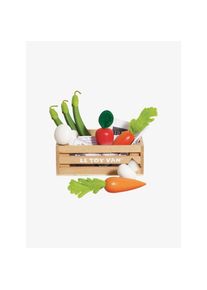 Letoyvan accessoires de cuisine Gemüseernte Lebensmittelkiste vert