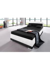 Polsterbett »wahlweise mit Matratze und praktischen Bettkasten,« in verschiedenen Grössen und Farben erhältlich , schwarz-weiss , Maintal