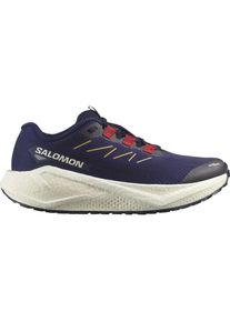 Salomon Damen Aero Blaze 3 Gravel blau 38.6