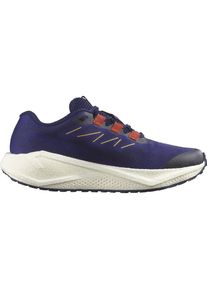 Salomon Herren Aero Blaze 3 Gravel blau 46.0