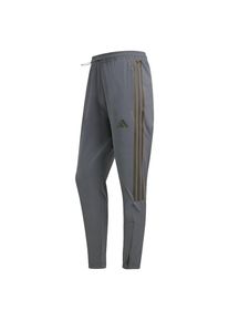 adidas Sportswear, Hommes Pantalon de sport 'House Of Tiro', gris
