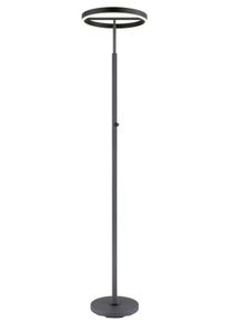 Globo Emanuel Deckenleuchte LED Anthrazit, Schwarz, 1-flammig