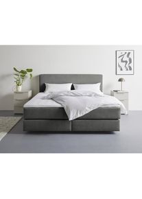 LeGer Home by Lena Gercke, LeGer Home by Lena Gercke Boxspringbett &raquo;Zalia erh&auml;ltlich in verschiedenen Breiten, inkl. Toppper&laquo; wahlweise mit Bonnell- 
